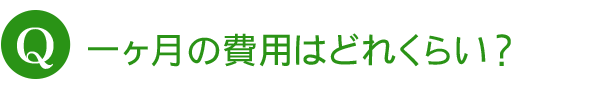 一ヶ月の費用はどれくらい？