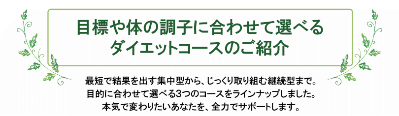 目標や体の調子に合わせて選べるダイエットコースのご紹介